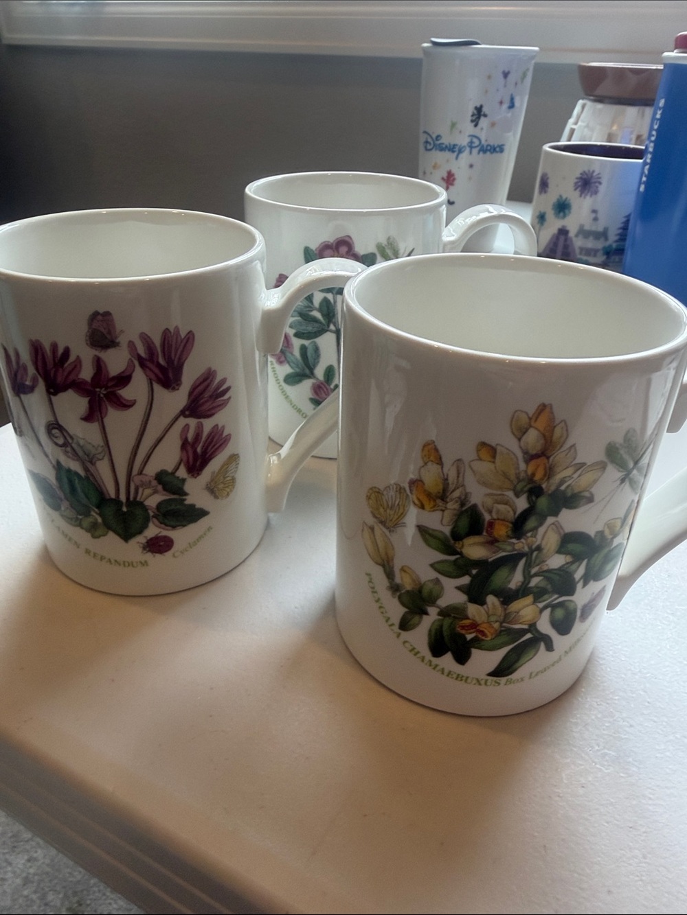 Portmeirion coffee mugs 12oz set of 3